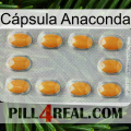 Cápsula Anaconda cialis3